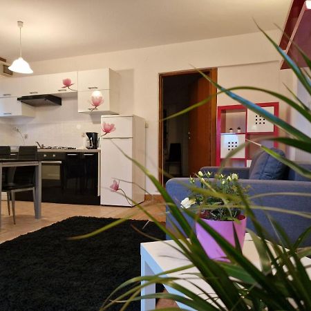 Apartman Sandro Motovun Dış mekan fotoğraf