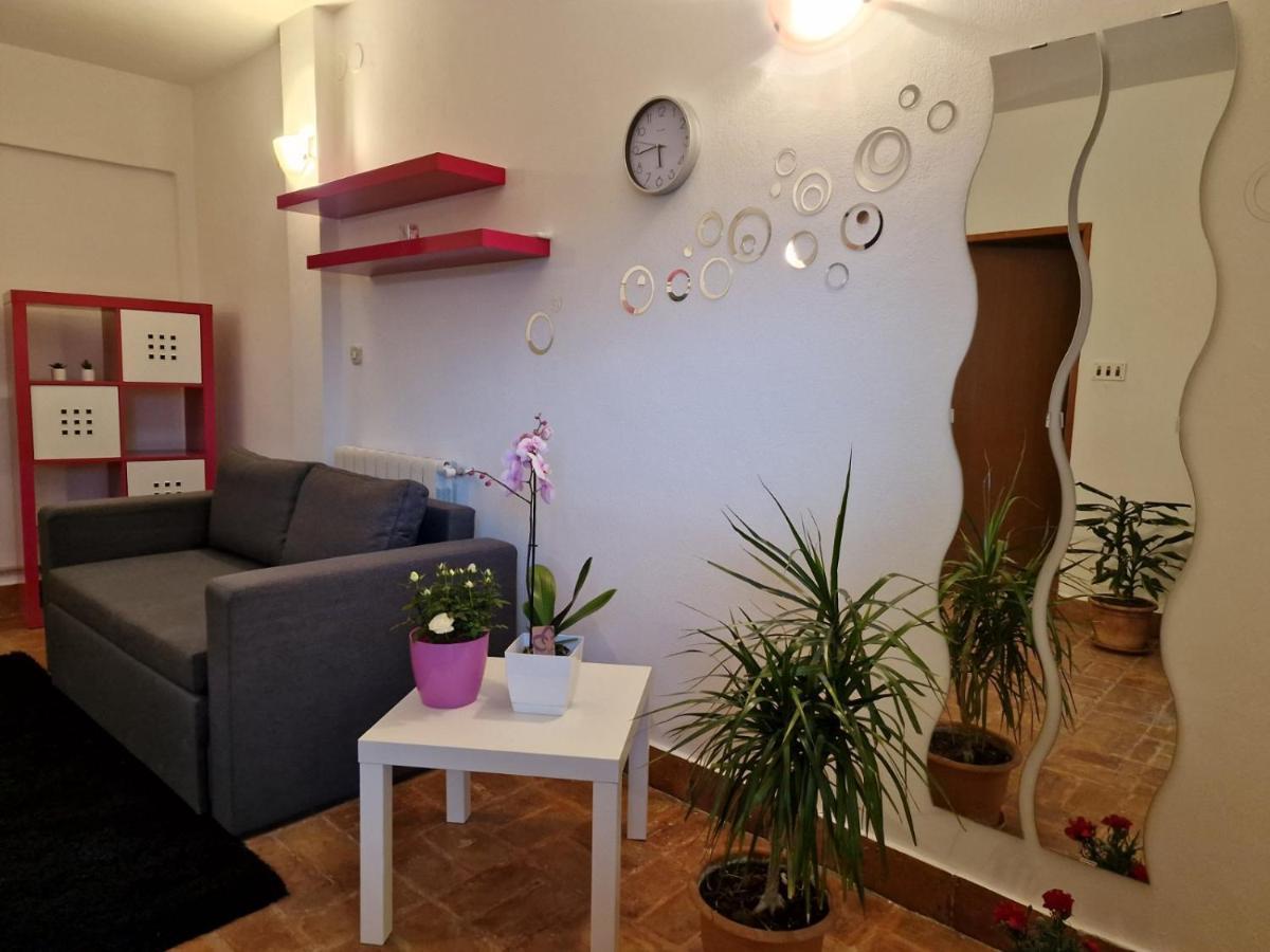 Apartman Sandro Motovun Dış mekan fotoğraf