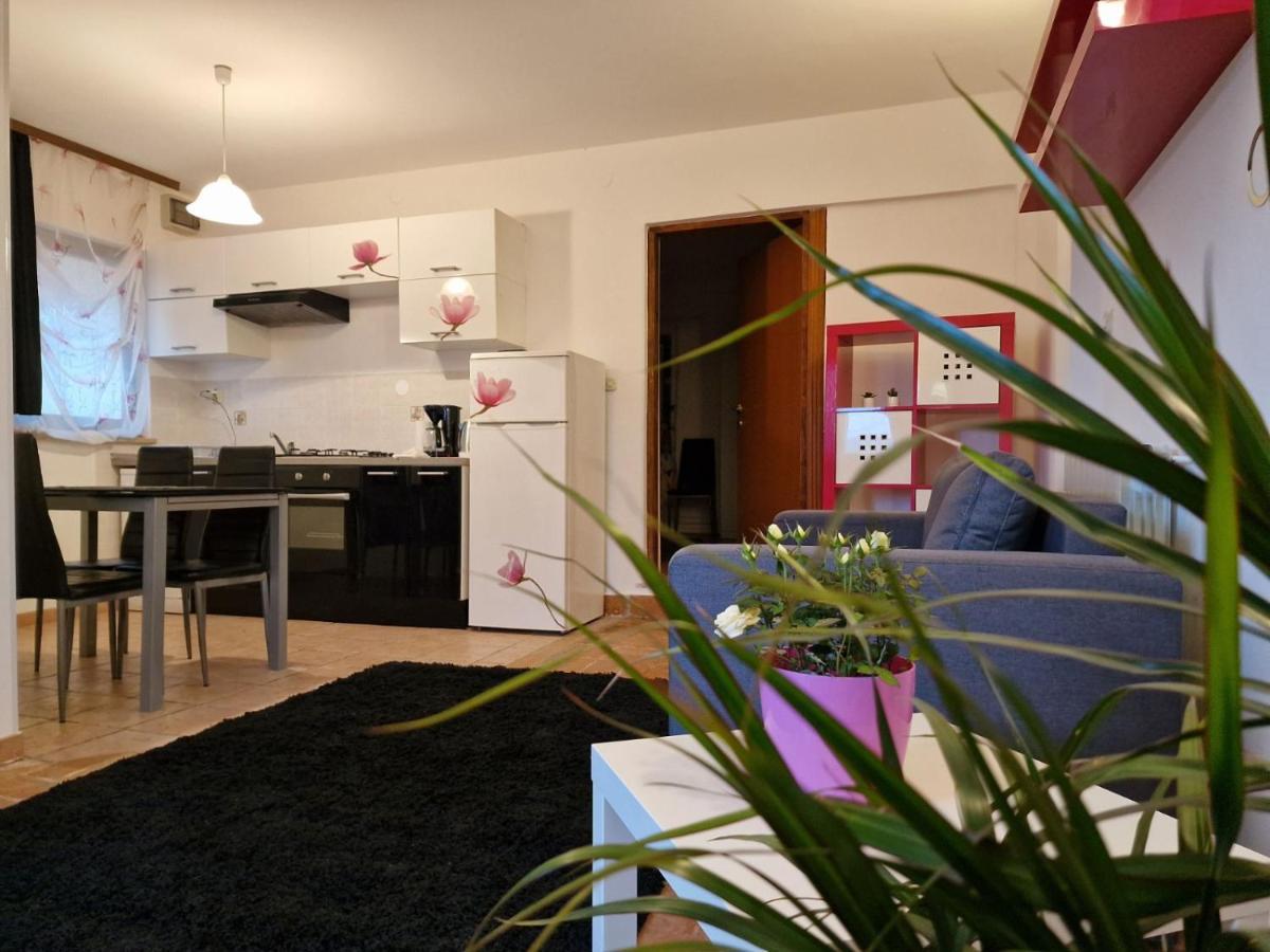 Apartman Sandro Motovun Dış mekan fotoğraf
