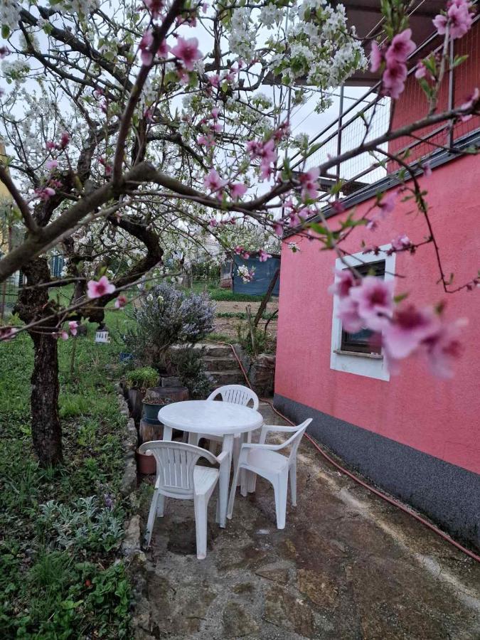 Apartman Sandro Motovun Dış mekan fotoğraf