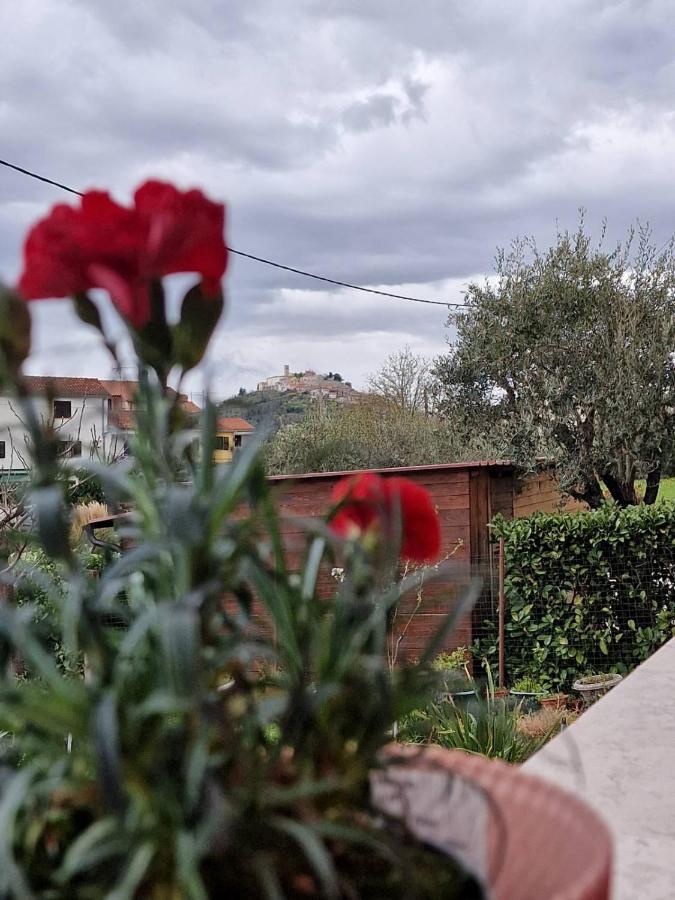 Apartman Sandro Motovun Dış mekan fotoğraf