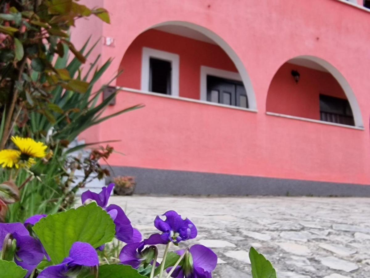 Apartman Sandro Motovun Dış mekan fotoğraf